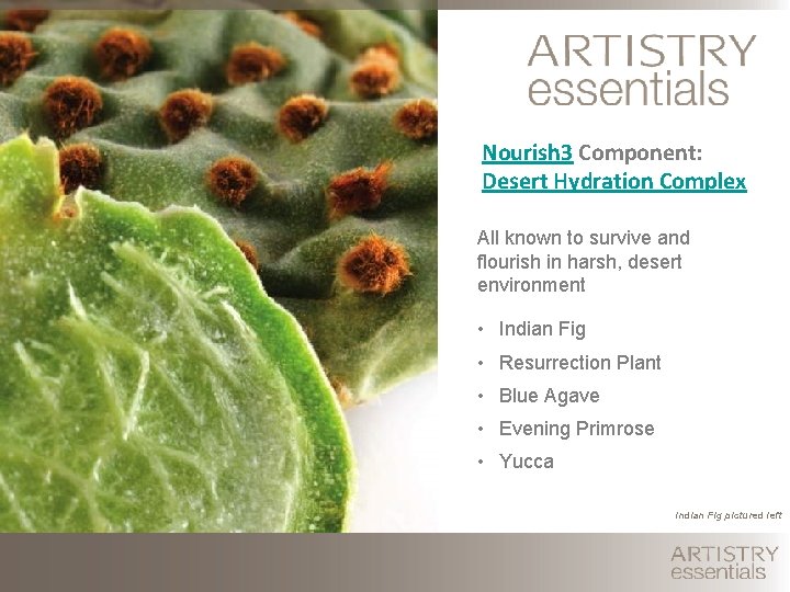 Nourish 3 Component: Desert Hydration Complex All known to survive and flourish in harsh,