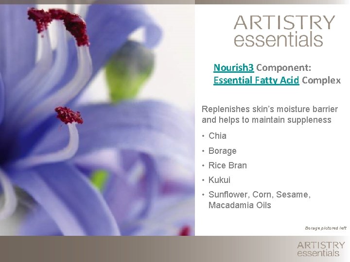 Nourish 3 Component: Essential Fatty Acid Complex Replenishes skin’s moisture barrier and helps to