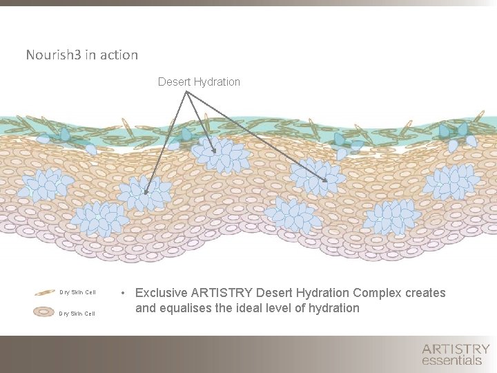 Nourish 3 in action Desert Hydration Dry Skin Cell • Exclusive ARTISTRY Desert Hydration