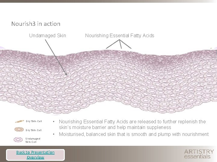 Nourish 3 in action Undamaged Skin Dry Skin Cell Nourishing Essential Fatty Acids •