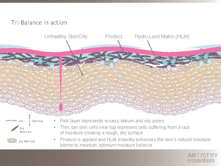 Tri-Balance in action Unhealthy Skin/Oily Pore Dry Skin Cell Product Hydro Lipid Matrix (HLM)