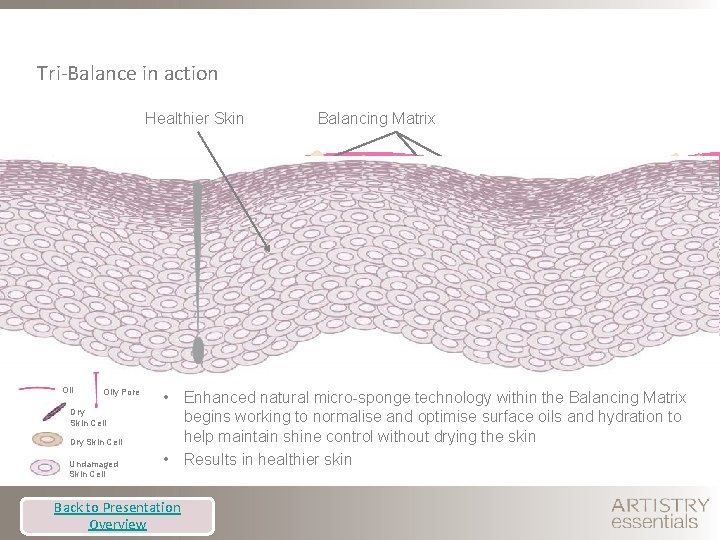 Tri-Balance in action Healthier Skin Oily Pore Dry Skin Cell Undamaged Skin Cell Balancing