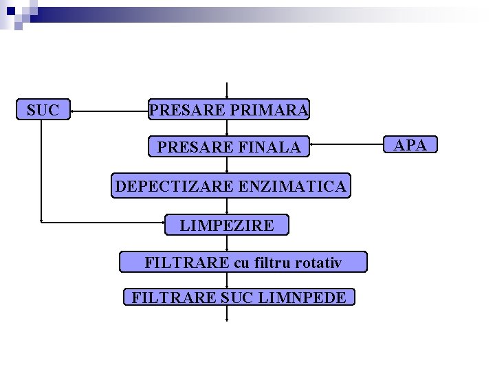 SUC PRESARE PRIMARA PRESARE FINALA DEPECTIZARE ENZIMATICA LIMPEZIRE FILTRARE cu filtru rotativ FILTRARE SUC SUC PRESARE PRIMARA PRESARE FINALA DEPECTIZARE ENZIMATICA LIMPEZIRE FILTRARE cu filtru rotativ FILTRARE SUC