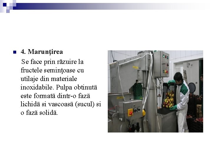 n 4. Marunţirea Se face prin răzuire la fructele seminţoase cu utilaje din materiale n 4. Marunţirea Se face prin răzuire la fructele seminţoase cu utilaje din materiale