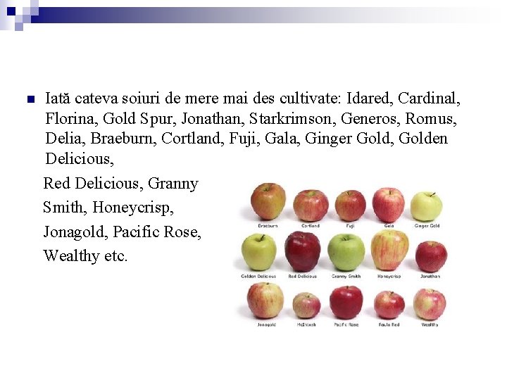 n Iată cateva soiuri de mere mai des cultivate: Idared, Cardinal, Florina, Gold Spur, n Iată cateva soiuri de mere mai des cultivate: Idared, Cardinal, Florina, Gold Spur,