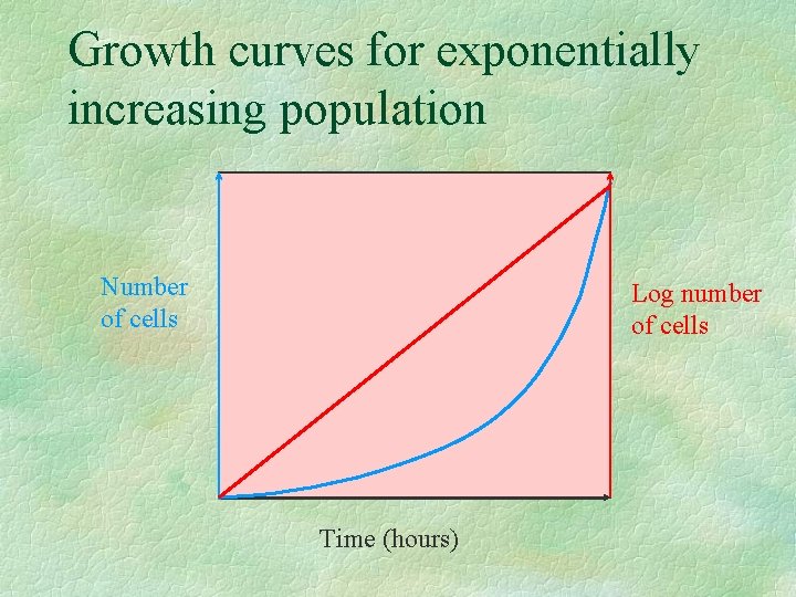 Growth curves for exponentially increasing population Number of cells Log number of cells Time