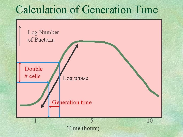 Calculation of Generation Time Log Number of Bacteria Double # cells Log phase Generation
