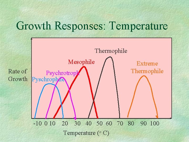 Growth Responses: Temperature Thermophile Mesophile Rate of Psychrotroph Growth Pyschrophile -10 0 10 Extreme