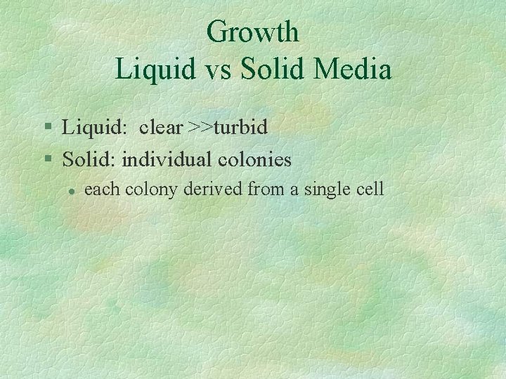 Growth Liquid vs Solid Media § Liquid: clear >>turbid § Solid: individual colonies l