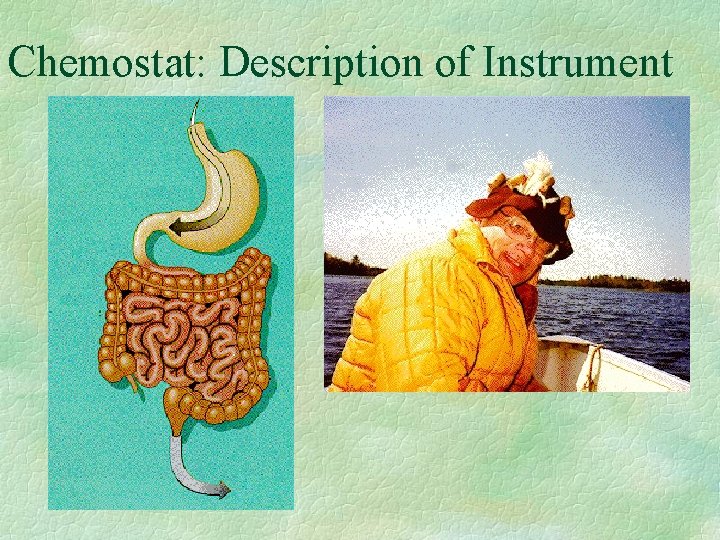 Chemostat: Description of Instrument 