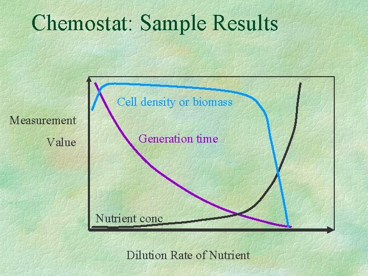 Chemostat: Sample Results Cell density or biomass Measurement Value Generation time Nutrient conc Dilution
