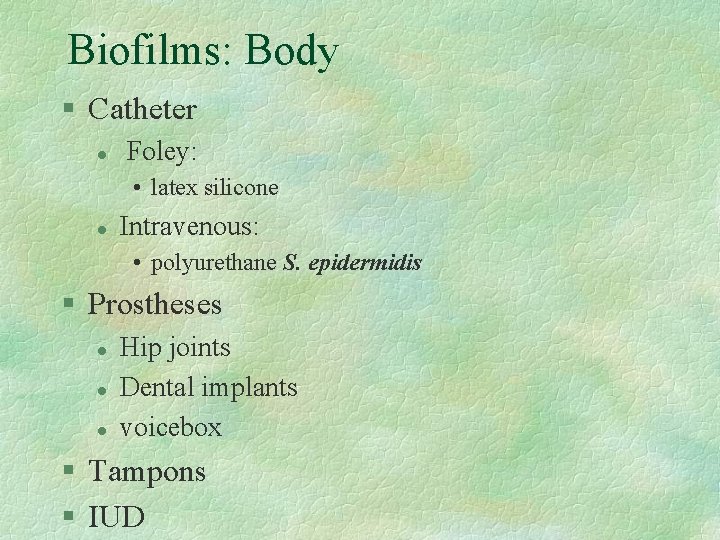 Biofilms: Body § Catheter l Foley: • latex silicone l Intravenous: • polyurethane S.