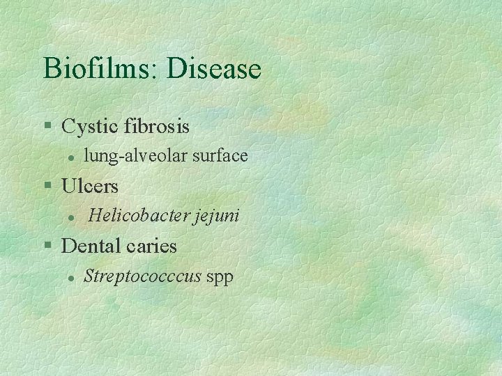 Biofilms: Disease § Cystic fibrosis l lung-alveolar surface § Ulcers l Helicobacter jejuni §