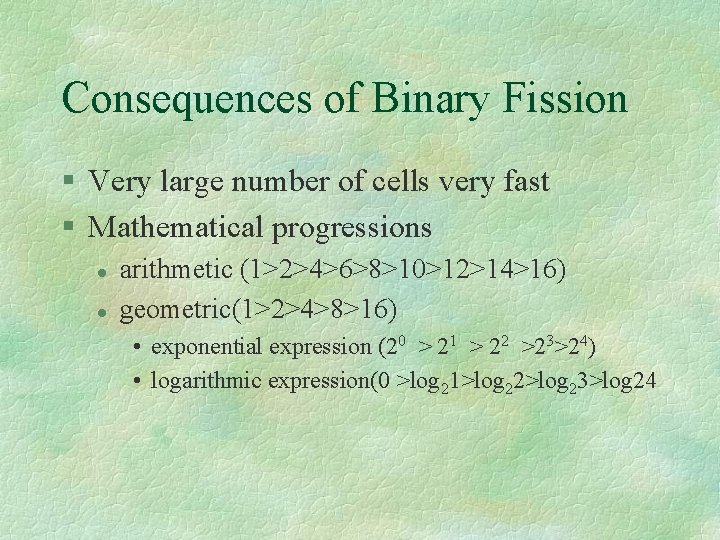 Consequences of Binary Fission § Very large number of cells very fast § Mathematical