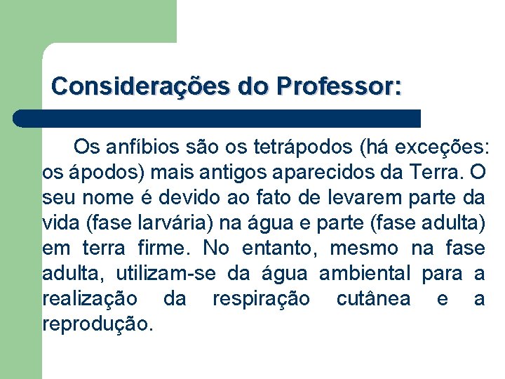 Considerações do Professor: Os anfíbios são os tetrápodos (há exceções: os ápodos) mais antigos