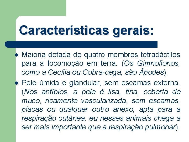 Características gerais: l l Maioria dotada de quatro membros tetradáctilos para a locomoção em