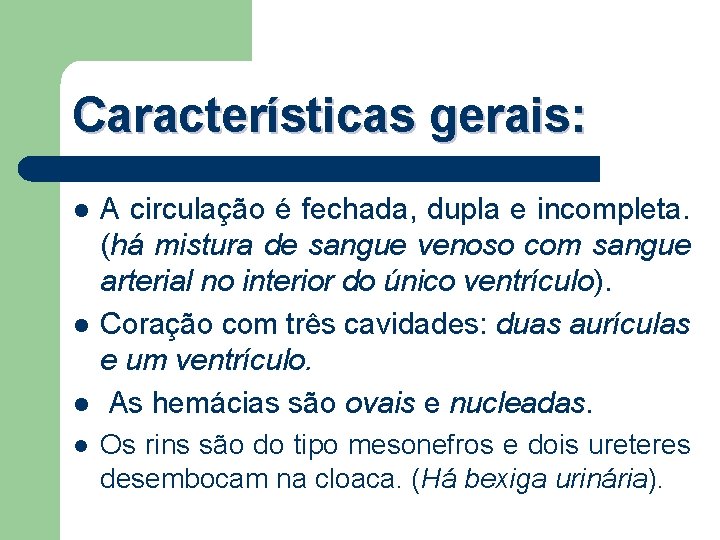 Características gerais: l l A circulação é fechada, dupla e incompleta. (há mistura de