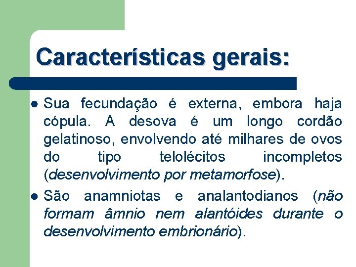 Características gerais: l l Sua fecundação é externa, embora haja cópula. A desova é