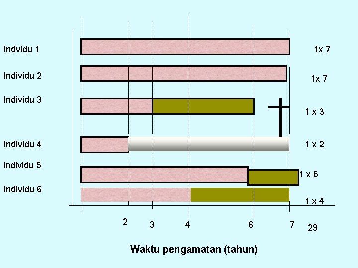 Indvidu 1 1 x 7 Individu 2 1 x 7 Individu 3 1 x