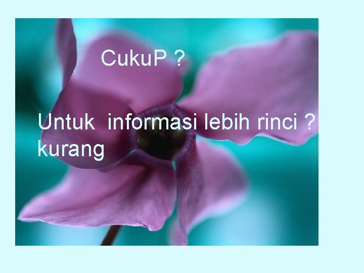 Cuku. P ? Untuk informasi lebih rinci ? kurang 