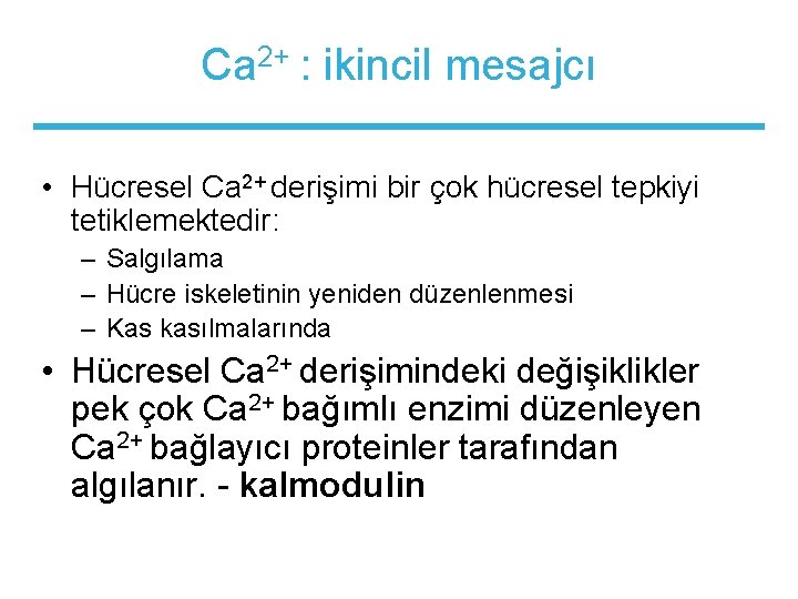 Ca 2+ : ikincil mesajcı • Hücresel Ca 2+ derişimi bir çok hücresel tepkiyi