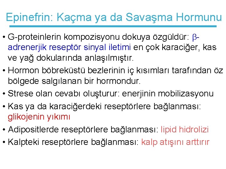 Epinefrin: Kaçma ya da Savaşma Hormunu • G-proteinlerin kompozisyonu dokuya özgüldür: adrenerjik reseptör sinyal