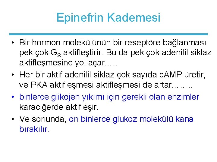 Epinefrin Kademesi • Bir hormon molekülünün bir reseptöre bağlanması pek çok GS aktifleştirir. Bu