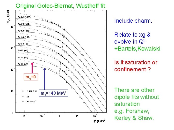 Original Golec-Biernat, Wusthoff fit Include charm. Relate to xg & evolve in Q 2