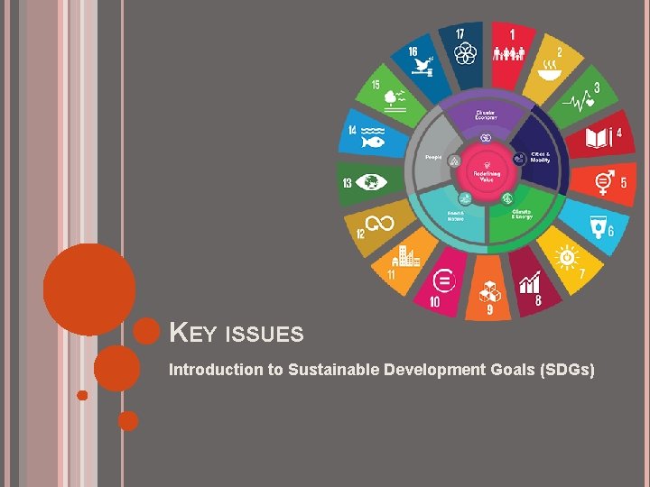 KEY ISSUES Introduction to Sustainable Development Goals (SDGs) 