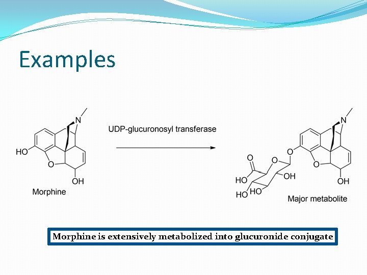 Examples Morphine is extensively metabolized into glucuronide conjugate 