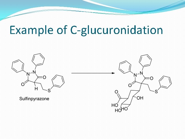 Example of C-glucuronidation 