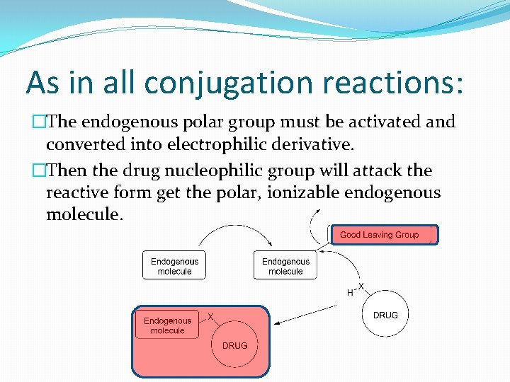 As in all conjugation reactions: �The endogenous polar group must be activated and converted