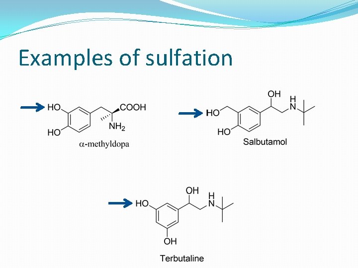 Examples of sulfation 