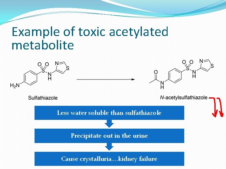 Example of toxic acetylated metabolite Less water soluble than sulfathiazole Precipitate out in the