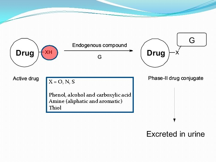 X = O, N, S Phenol, alcohol and carboxylic acid Amine (aliphatic and aromatic)