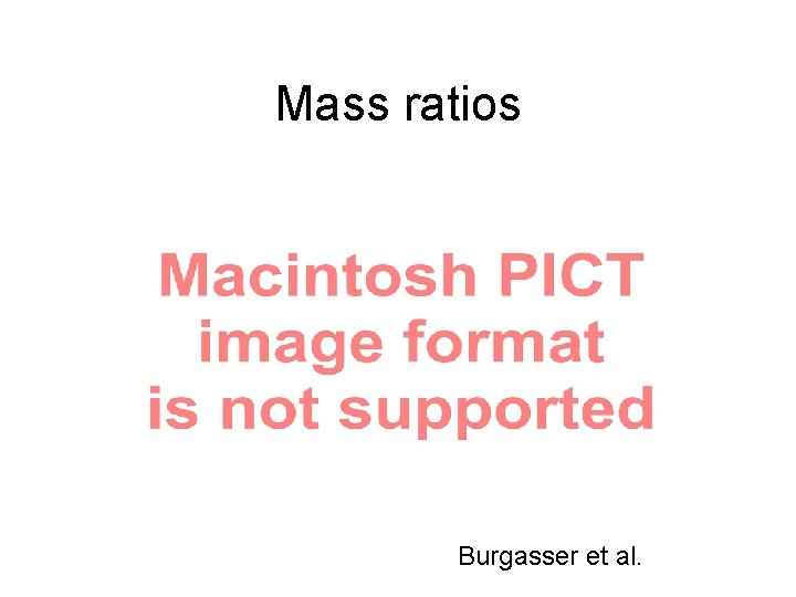 Mass ratios Burgasser et al. 