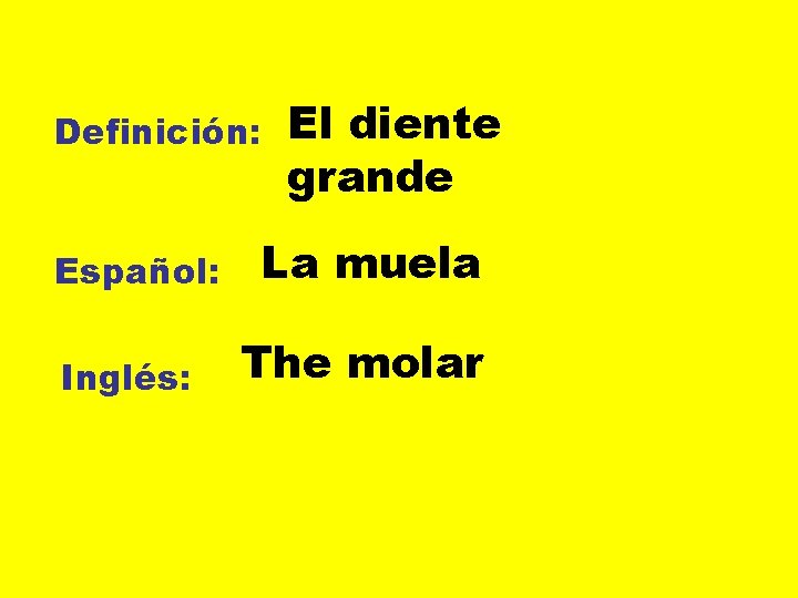Definición: Español: Inglés: El diente grande La muela The molar 
