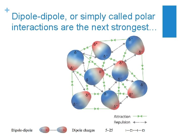 + Dipole-dipole, or simply called polar interactions are the next strongest… 