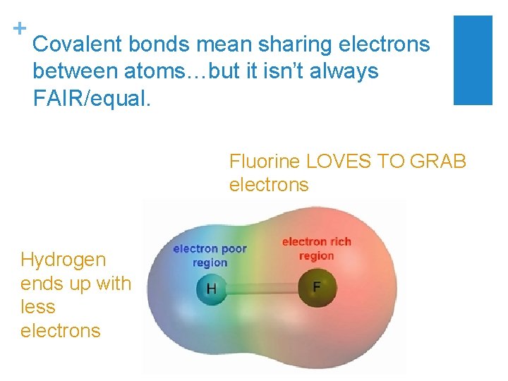 + Covalent bonds mean sharing electrons between atoms…but it isn’t always FAIR/equal. Fluorine LOVES