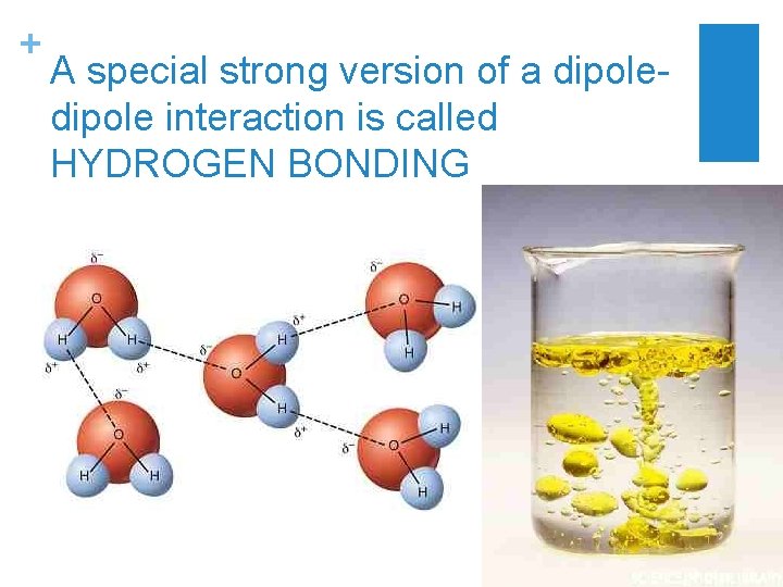 + A special strong version of a dipole interaction is called HYDROGEN BONDING 