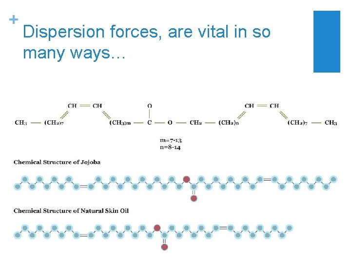 + Dispersion forces, are vital in so many ways… 