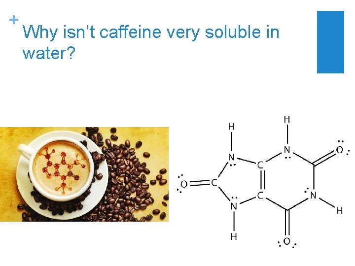 + Why isn’t caffeine very soluble in water? 