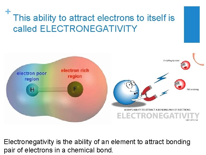 + This ability to attract electrons to itself is called ELECTRONEGATIVITY Electronegativity is the