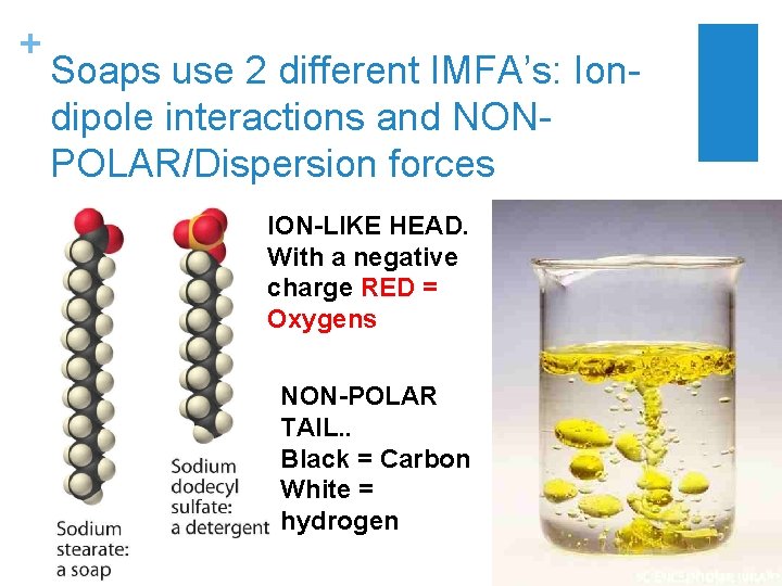 + Soaps use 2 different IMFA’s: Iondipole interactions and NONPOLAR/Dispersion forces ION-LIKE HEAD. With