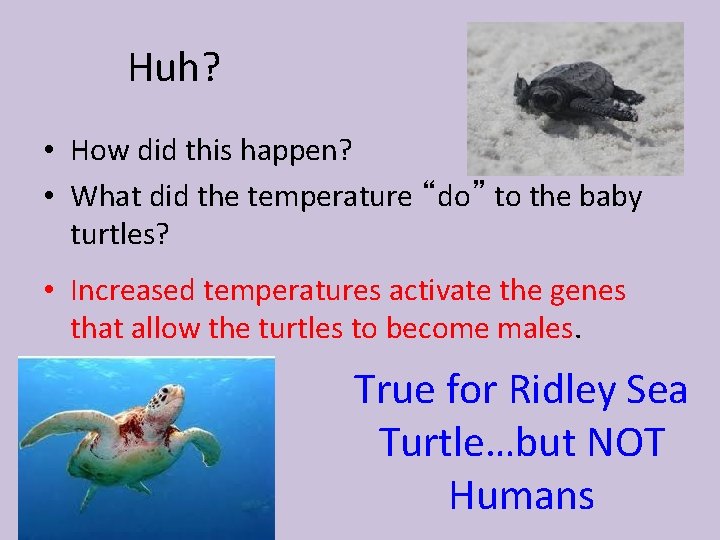 Huh? • How did this happen? • What did the temperature “do” to the