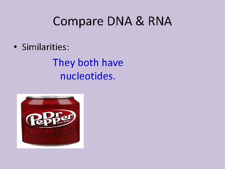 Compare DNA & RNA • Similarities: They both have nucleotides. 