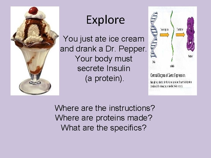 Explore You just ate ice cream and drank a Dr. Pepper. Your body must