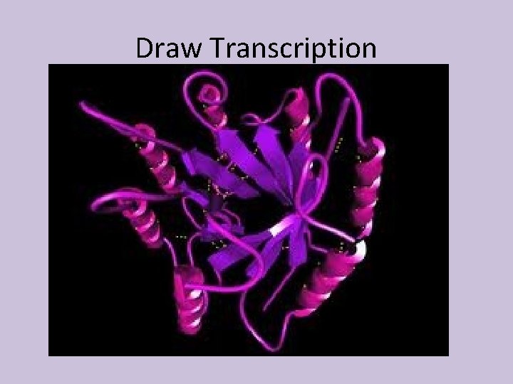 Draw Transcription 