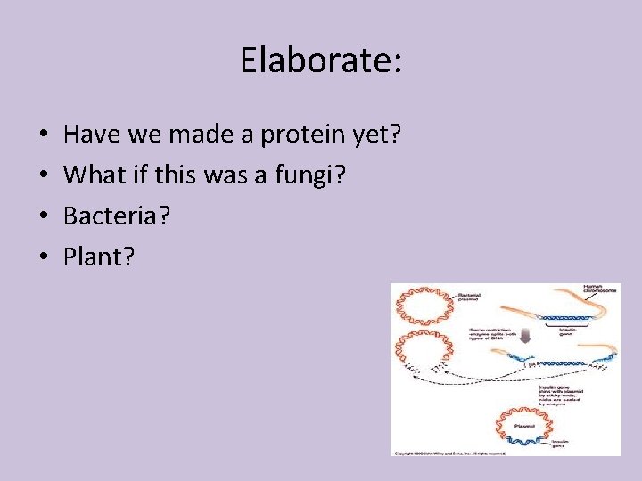 Elaborate: • • Have we made a protein yet? What if this was a