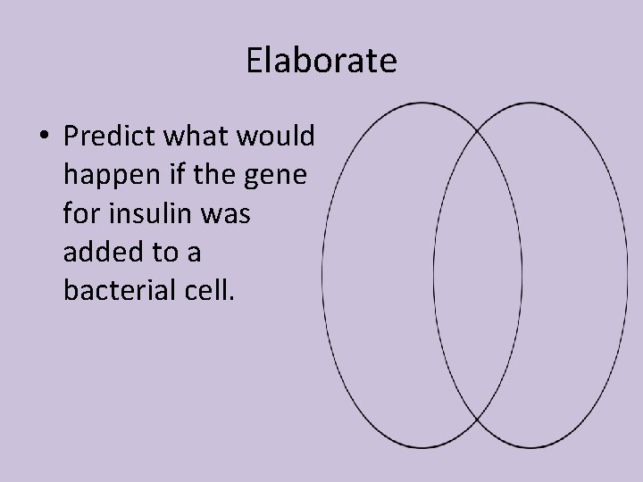 Elaborate • Predict what would happen if the gene for insulin was added to